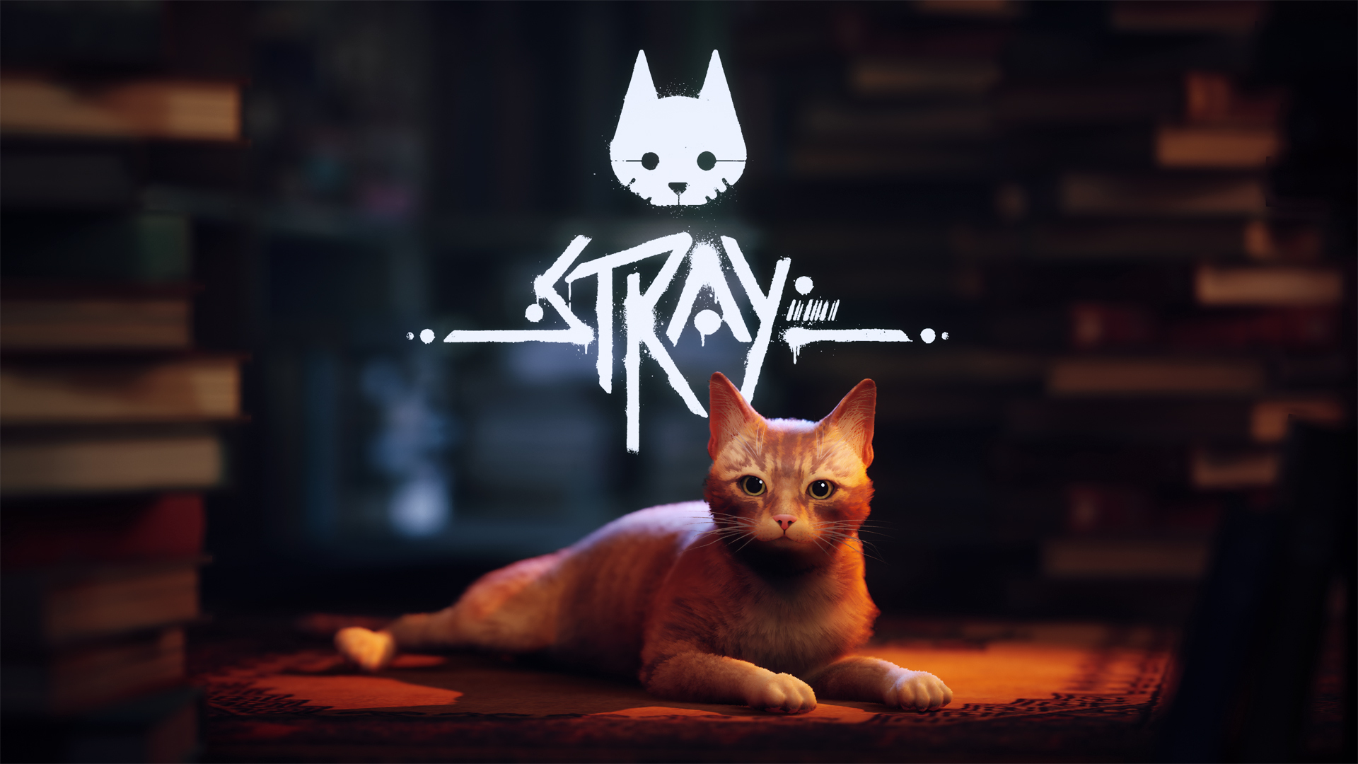 Não era rumor! Stray chega muito em breve ao Xbox