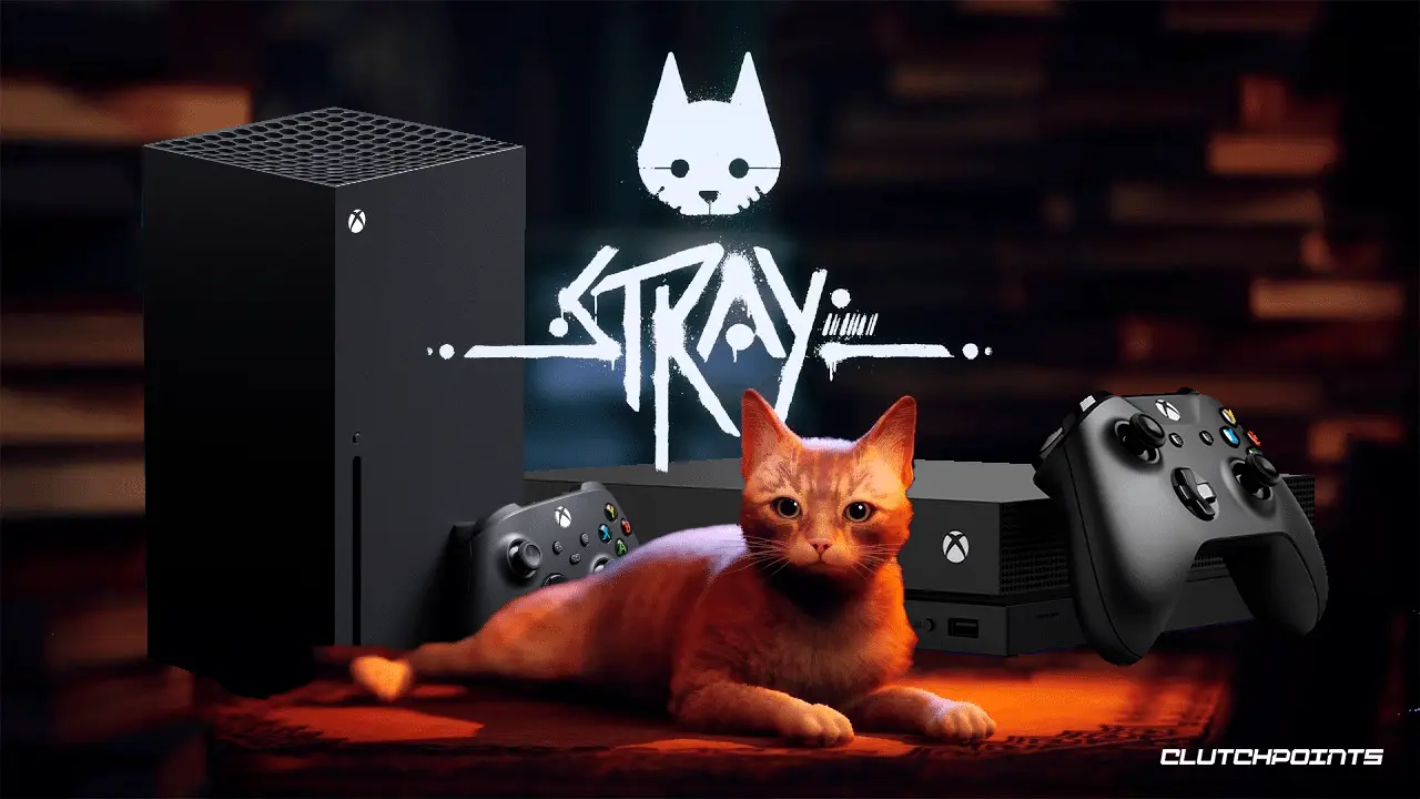 Stray: não é só um rostinho bonito | Central Xbox